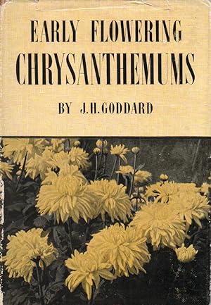 Early - Flowering Chrysanthemums