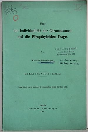 Über die Individualität der Chromosomen und die Pfropfhybridenfrage. (Separat-Abdruck aus den Jah...