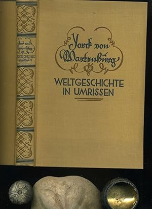Image du vendeur pour Weltgeschichte in Umrissen; Federzeichnungen eines Deutschen. Mit 16 Bildertafeln. mis en vente par Umbras Kuriosittenkabinett