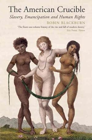 Immagine del venditore per American Crucible : Slavery, Emancipation and Human Rights venduto da GreatBookPrices