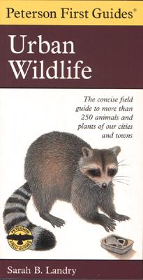 Seller image for Peterson First Guide to Urban Wildlife (Paperback or Softback) for sale by BargainBookStores
