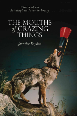 Seller image for The Mouths of Grazing Things (Paperback or Softback) for sale by BargainBookStores