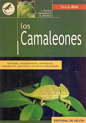 Seller image for LOS CAMALEONES - MORFOLOGIA, COMPORTAMIENTO, ALIMENTACION, REPRODUCCION, PREVENCION Y CURA DE LAS ENFERMEDADES for sale by Libreria 7 Soles