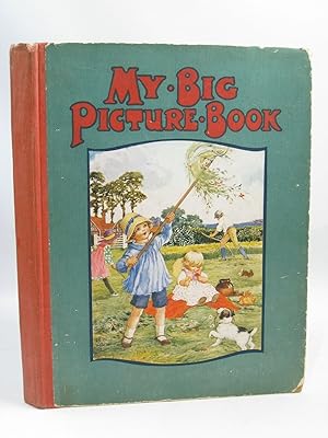 The Big Picture Book by Strang Mrs Herbert - AbeBooks