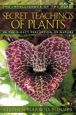 Seller image for The Secret Teachings of Plants: The Intelligence of the Heart in the Direct Perception of Nature (Paperback or Softback) for sale by BargainBookStores