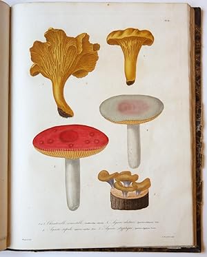 Seller image for Histoire des champignons comestibles et vnneux, orne de figures colories reprsentant les principales espces dans leurs dimensions naturelles; o l'on expose leurs caractres distinctifs, leurs proprits alimentaires et conomiques, leurs effets nuisibles et les moyens de s'en garantir ou d'y remdier, ouvrage utile aux amateurs de champignons, aux mdecins, aux naturalistes, aux propritaires ruraux, aux maires des villes et des campagnes, etc. for sale by Antiquariaat Arine van der Steur / ILAB