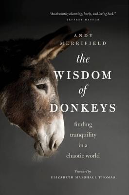 Seller image for The Wisdom of Donkeys: Finding Tranquility in a Chaotic World (Paperback or Softback) for sale by BargainBookStores