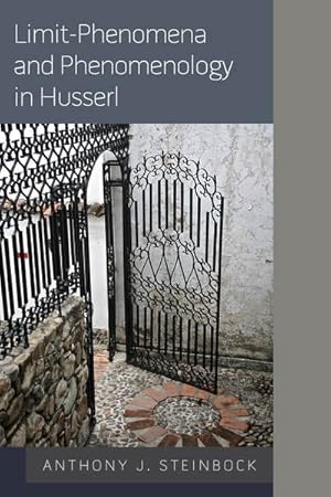 Seller image for Limit-Phenomena and Phenomenology in Husserl for sale by GreatBookPrices