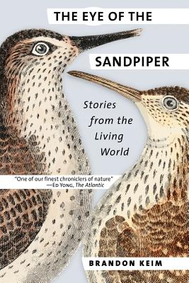 Image du vendeur pour The Eye of the Sandpiper: Stories from the Living World (Paperback or Softback) mis en vente par BargainBookStores