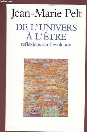 Image du vendeur pour DE L'UNIVERS A L'ETRE : REFLEXIONS SUR L'EVOLUTION mis en vente par Le-Livre