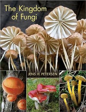 Imagen del vendedor de The Kingdom of Fungi (Hardback or Cased Book) a la venta por BargainBookStores