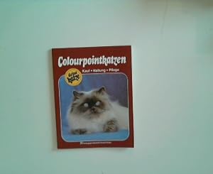 Colourpointkatzen. Deine Katze