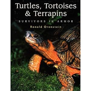 Imagen del vendedor de Turtles, Tortoises and Terrapins: Survivors in Armor a la venta por Buteo Books