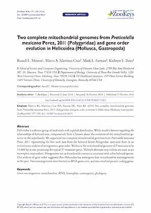 Seller image for Two complete mitochondrial genomes from Praticolella mexicana Perez, 2011 (Polygyridae) and gene order evolution in Helicoidea (Mollusca, Gastropoda) for sale by ConchBooks