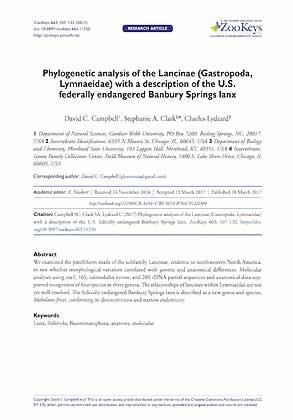 Seller image for Phylogenetic analysis of the Lancinae (Gastropoda, Lymnaeidae) with a description of the U.S. federally endangered Banbury Springs lanx for sale by ConchBooks