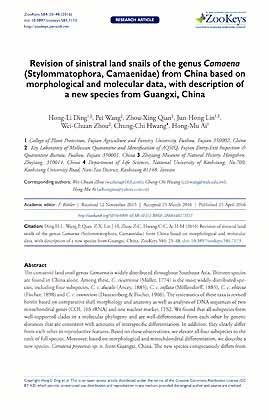 Imagen del vendedor de Revision of sinistral land snails of the genus Camaena (Stylommatophora, Camaenidae) from China based on morphological and molecular data, with description of a new species from Guangxi, China a la venta por ConchBooks