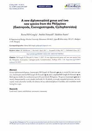 Seller image for A new diplommatinid genus and two new species from the Philippines (Gastropoda, Caenogastropoda, Cyclophoroidea) for sale by ConchBooks