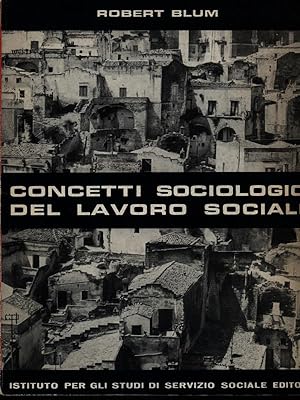 Bild des Verkufers fr Concetti sociologici del lavoro sociale zum Verkauf von Librodifaccia
