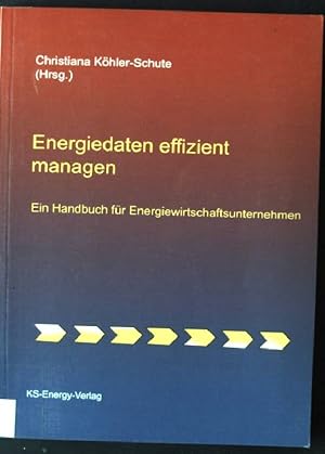 Immagine del venditore per Energiedaten effizient managen : ein Handbuch fr Energiewirtschaftsunternehmen. venduto da books4less (Versandantiquariat Petra Gros GmbH & Co. KG)