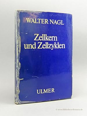 Zellkern und Zellzyklen. Molekularbiologie, Organisation und Entwicklungsphysiologie der Desoxyri...