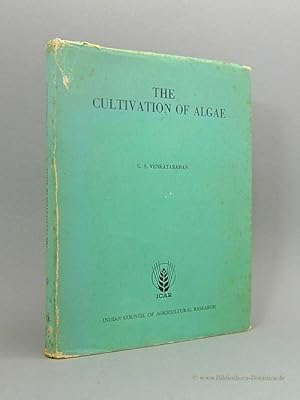 Seller image for The cultivation of algae. for sale by Bibliotheca Botanica