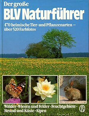 Der grosse BLV-Naturführer : Wälder, Wiesen u. Felder, Feuchtgebiete, Strand u. Küste, Alpen ; 47...