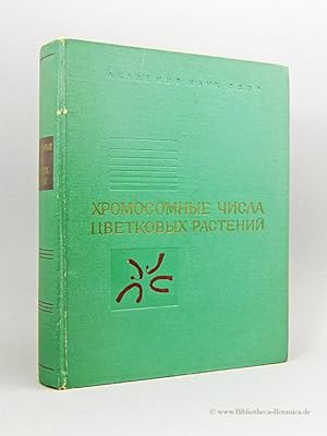 Khromosomnyye chispa tsvetkovykh Rasteniy. [Chromosomenzahl der Blütenpflanzen-Chromosome Numbers...