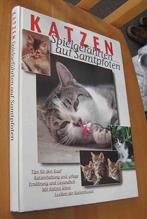 Seller image for Katzen : Spielgefhrten auf Samtpfoten for sale by Dipl.-Inform. Gerd Suelmann