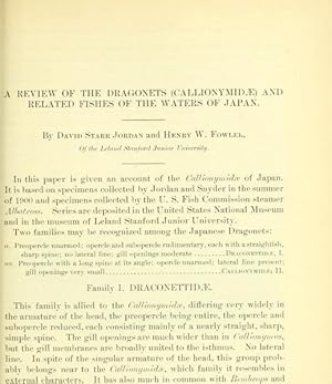 Imagen del vendedor de A Review Of The Dragonets (Callionymidae) And Related Fishes Of The Waters Of Japan a la venta por Legacy Books II