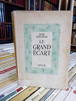 Le Grand Écart (roman)