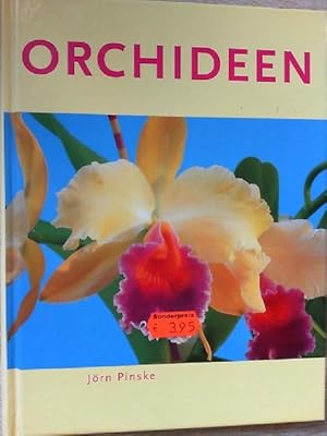 Orchideen