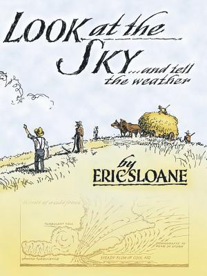Imagen del vendedor de Look at the Sky and Tell the Weather (Paperback or Softback) a la venta por BargainBookStores