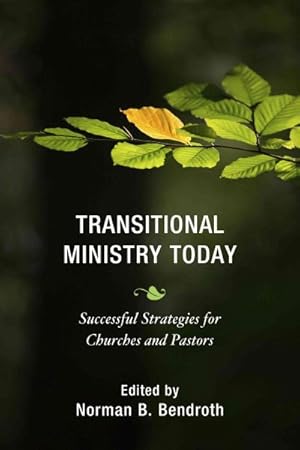 Immagine del venditore per Transitional Ministry Today : Successful Strategies for Churches and Pastors venduto da GreatBookPrices