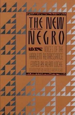 Seller image for The New Negro (Paperback or Softback) for sale by BargainBookStores