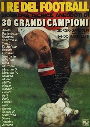 Basketball: The Nba Coaches Handbook: Gandolfi, Giorgio: 9780130694690:  : Books