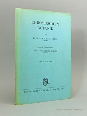 Bild des Verkufers fr Chromosomen Botanik. zum Verkauf von Bibliotheca Botanica