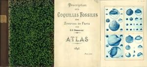 Description des Coquilles Fossiles des Environs de Paris. Atlas 1837. 1ere Partie. 2eme. Partie.