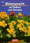 Blütenpracht auf Balkon und Terrasse.