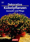 Dekorative Kübelpflanzen : Auswahl und Pflege.