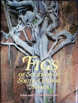 Figs of Southern Africa and South-Central Africa