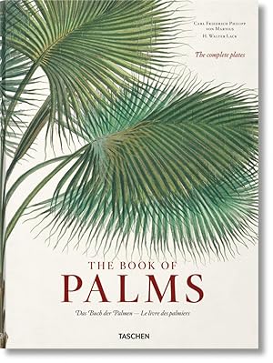 Imagen del vendedor de Lack, H. Martius Buch der Palmen Book of Palms a la venta por artbook-service