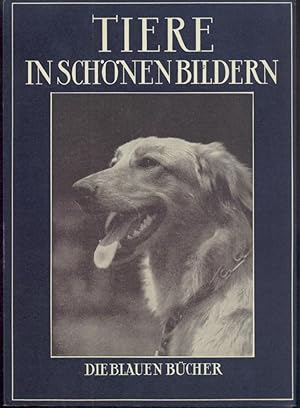 Tiere in schönen Bildern. Aufnahmen nach dem Leben zumeist von deutschen Amateuren. 125.-141. Tsd.