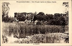 Ansichtskarte / Postkarte Pecquencourt Nord, Ecole Ménagère Agricole de l'Abbaye d'Anchin, la Car...