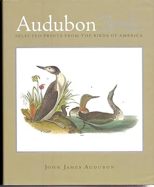Bild des Verkufers fr Audubon Birds: Selected Prints From the Birds of America zum Verkauf von Die Wortfreunde - Antiquariat Wirthwein Matthias Wirthwein