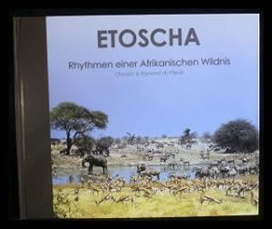 Bild des Verkufers fr Etoscha Rhythmen einer Afrikanischen Wildnis (Namibia, Bildband) zum Verkauf von ANTIQUARIAT Franke BRUDDENBOOKS