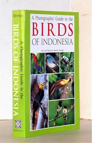 A photographic guide to the birds of Indonesia. Text and photos by Morten Strange.