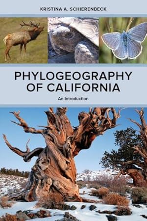Immagine del venditore per Phylogeography of California : An Introduction venduto da GreatBookPrices