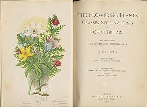 The Flowering Plants Grasses, Sedges & Ferns of Great Britain and Their Allies the Club Mosses, H...