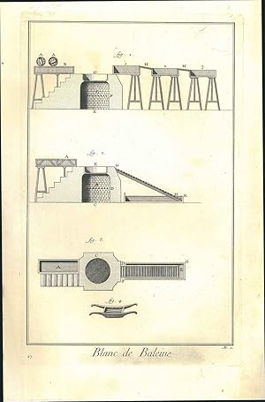 Blanc de baleine contenant une planche. Tavola originale dell'Encyclopedie