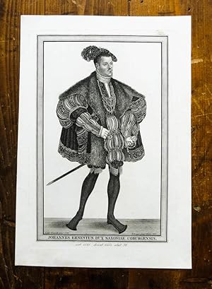 Kupferstich-Porträt von Berger nach Cranach. Johann Ernestus Dux Saxoniae Coburgensis.